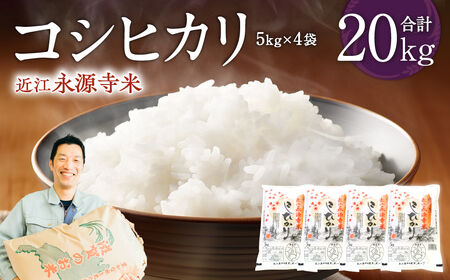 ߍ]iăRVqJ v20kg ЃJlL` ꌧ ߍ]s F-G08   Y   uh