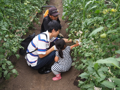 ひがしおうみ農業体験&古民家貸し切り宿泊チケット NPO法人愛のまちエコ倶楽部 滋賀県 東近江市 F24 宿泊券 体験型 農業体験 古民家 貸切 滋賀