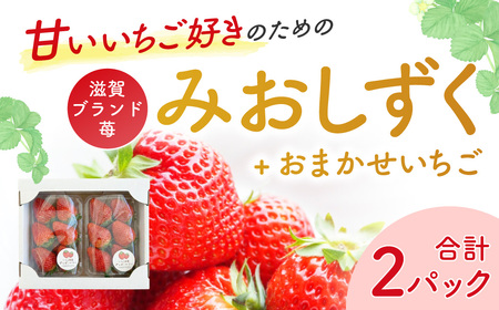 いちご2パック(みおしずく+おまかせ) いちご農園ぐっど・べりー 滋賀県 東近江市 O-G11 いちご 苺 みおしずく 滋賀県産 食べ比べ フルーツ 果物 デザート 旬 直送 取り寄せ