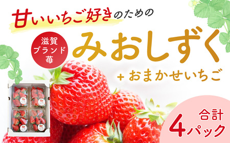 いちご4パック(みおしずく+おまかせ) いちご農園ぐっど・べりー 滋賀県 東近江市 A-B03 いちご 苺 みおしずく 滋賀県産 食べ比べ フルーツ 果物 デザート 旬 直送 大容量