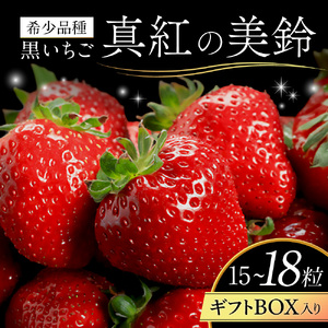 [期間限定][2026年4月30日まで]真紅の美鈴 いちこいちご 滋賀県 東近江市 A-G28 いちご 黒いちご 希少種 ギフト 完熟 フルーツ