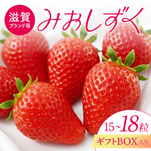 [期間限定][2026年4月30日まで]みおしずく いちこいちご 滋賀県 東近江市 A-D34 いちご 滋賀県オリジナル 新品種 希少種 ギフト 完熟 贈答