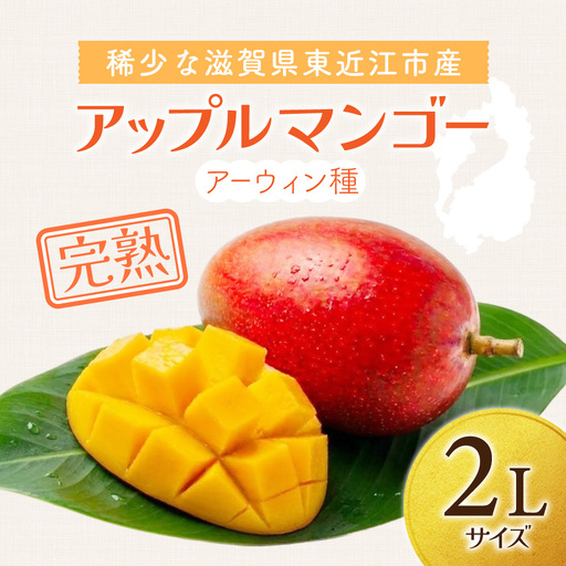 [期間限定][2026年9月15日まで]アップルマンゴー 2Lサイズ コバヤシ化成 滋賀県 東近江市 A-G26 マンゴー 完熟 予約 冷蔵 フルーツ 果物 濃厚 期間限定 国産 本格 産地直送