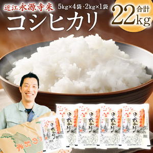 近江永源寺米コシヒカリ 計22kg 株式会社カネキチ 滋賀県 東近江市 E-F02 米 精米 永源寺 こしひかり お米 白米 ご飯