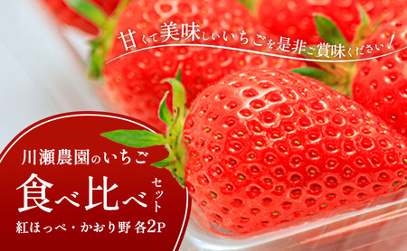 川瀬農園のいちご食べ比べセット　4パック（紅ほっぺ・かおり野　各2P）