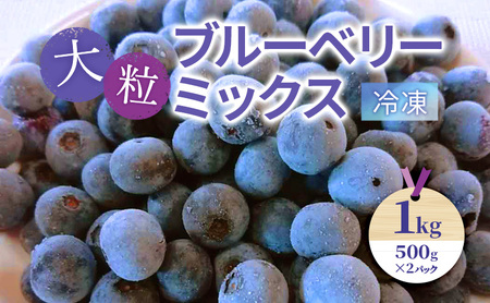 大粒ブルーベリーミックス(冷凍)1kg(500g×2パック)| ブルーベリー 果物 フルーツ 冷凍フルーツ ベリー類