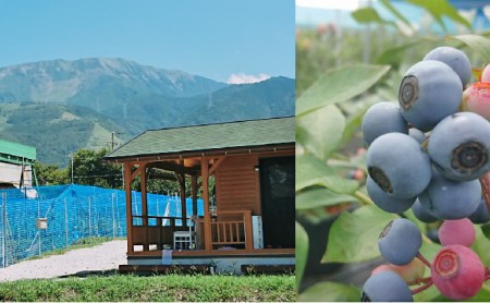 [2026年6月〜8月ご利用分]ブルーベリー狩り体験体験チケット(ペア)