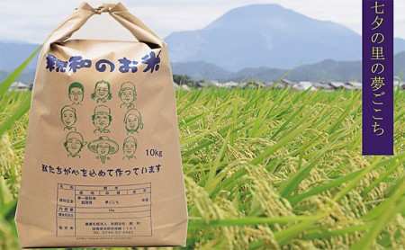七夕の里の夢ごこち 10kg お米 米 