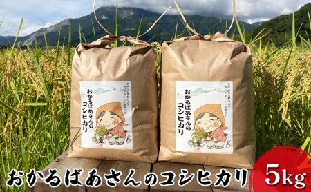 [令和6年産新米予約受付]おかるばあさんのコシヒカリ(5kg)