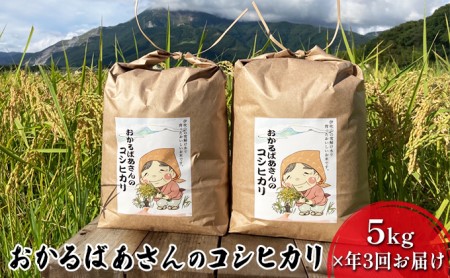 [令和7年産新米予約受付][5kg×3か月連続お届け]おかるばあさんのコシヒカリ お米
