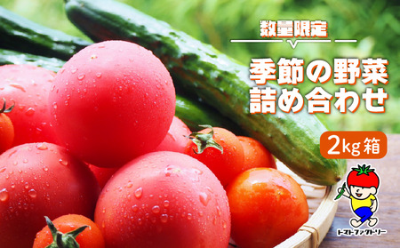 [期間限定] トマトファクトリー 野菜 詰め合わせ セット トマト きゅうり 2kg 箱入り とまと キュウリ 野菜 やさい セット 新鮮 採れたて 季節 甘い 糖度 高糖度 あまい 食材 旬 栽培 産地直送 農家直送 農家応援 滋賀県 日野町 ふるさと納税 送料無料