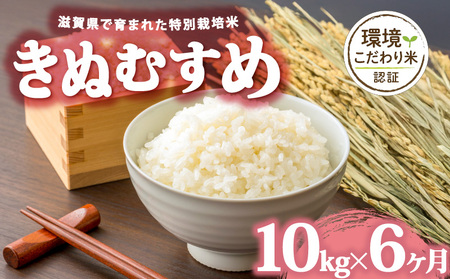 �y �ߘa7�N�Y 10kg ����� 6���� �z ���ʂނ��� �� ���� 2025�N�Y �L�k���X�� ���Y ���ꌧ ���쒬 �_�ƒ��� ���� ���� ������ ���� �Y�n���� �ӂ邳�Ɣ[��