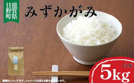 �ߘa7�N�Y �V�� �݂������� ���� 5�s