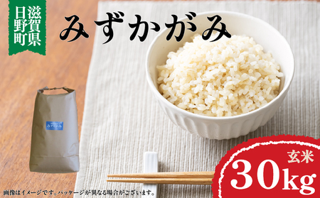 �ߘa7�N�Y �V�� �݂������� ���� 30�s ( 1�� )