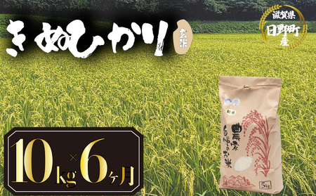 �y�ߘa7�N�Y�z �V�� ���� 10kg ����� 6���� ���ʂЂ���