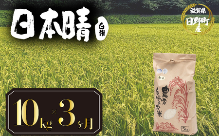 令和7年産 米 10kg 定期便 3ヶ月 日本晴 白米
