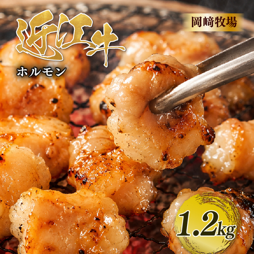 近江牛 ホルモン 1.2kg 完熟近江牛 200g×6パック