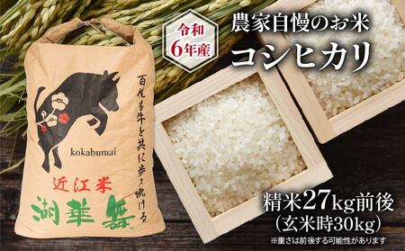 令和6年産 新米 農家自慢のお米 コシヒカリ 精米 約27kg ( 2024年産 白米 お米 産地直送 農家直送 送料無料 滋賀県 竜王町 ふるさと納税 )