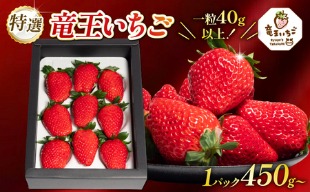 特撰 竜王 いちご 450g 以上 1箱 章姫 紅ほっぺ よつぼし かおり野 みおしずく はるひ すず あまえくぼ おいCベリー 1パック 大粒 苺 旬 産地 直送 フレッシュ イチゴ フルーツ 果物 国産 ベリー 贈答用 プレゼント 2025年1月より順次発送予定 滋賀県 竜王町 人気苺 ふるさと納税苺 ふるさと苺 furusato苺 おすすめ苺 送料無料 