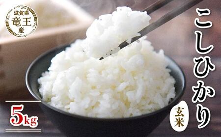 [先行予約]新米 こしひかり 玄米 5kg( 新米 予約 令和6年産 特別栽培米 米 5kg 玄米)