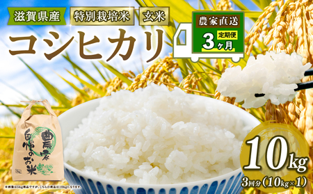 y Vė\ z ʍ͔| Ђ ߘa7N  10kg   3 v 30kg RVqJ 2025NY Y _ƒ RVqJ 10kg × 3 Y _ƒ     _ƒ