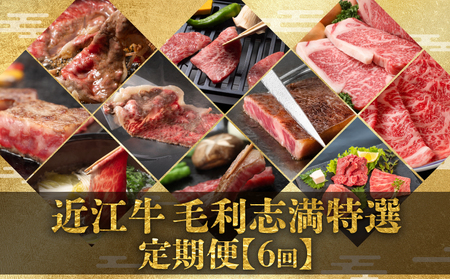 定期便 近江牛 食べ比べ 全6回 焼肉 すき焼き しゃぶしゃぶ 焼肉 焼き肉 焼き肉 