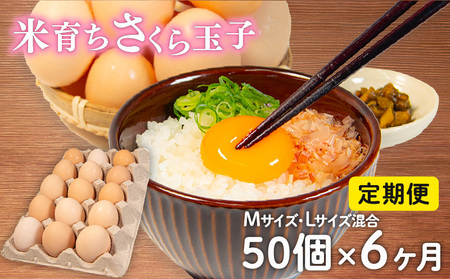   50 × 6 ( ܂ 45 + ⏞ 5 ) 6 MTCY LTCY   Y Ĉ炿 ʎq 痑 {  RN̂ Z   Ƃꂽ  ܂ nYn