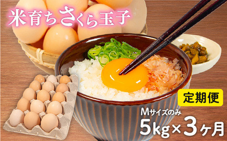   5kg × 3 ⏞ 5 MTCY ̂  80 × 3  Y Ĉ炿 ʎq 痑 {  RN Z   Ƃꂽ  ܂ nYn  Y{ ʎq Y݂ V