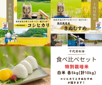 [新米予約] コシヒカリ きぬむすめ 食べ比べ 白米 各 5kg ( 令和6年産 先行予約 新米 コシヒカリ )