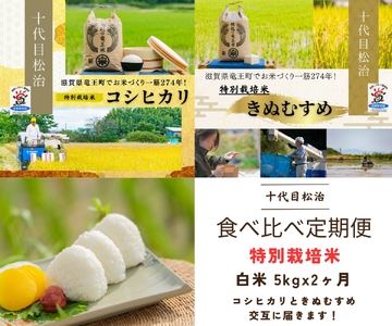 [新米予約] 定期便 コシヒカリ きぬむすめ 食べ比べ 白米 5kg × 2ヶ月 ( 令和6年産 先行予約 新米 コシヒカリ )