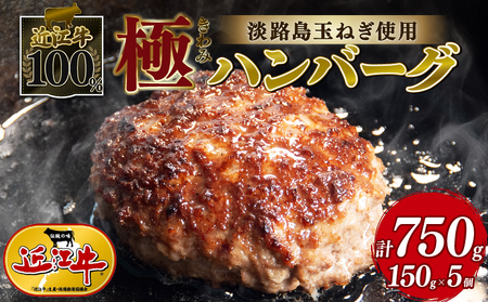 近江牛 100% ハンバーグ 淡路島の玉ねぎ 使用 150g × 5個 黒毛和牛 ブランド 肉 三大和牛 贈り物 ギフト 滋賀県 竜王町 古株牧場 神戸牛 松阪牛 に並ぶ 日本三大和牛 ふるさと納税