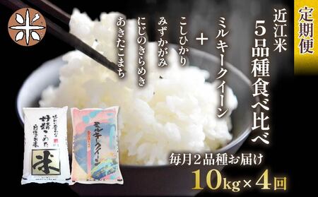 令和6年産 新米 定期便 10kg 全4回 ミルキークイーン + 4品種 食べ比べ ( こしひかり みずかがみ にじのきらめき あきたこまち ) 全5品種 白米 各 5kg × 2袋 3ヶ月 近江米 国産 お米 米 おこめ ごはん ご飯 白飯 しろめし こめ ゴハン 御飯 滋賀県産 竜王 ふるさと ランキング 人気 おすすめ