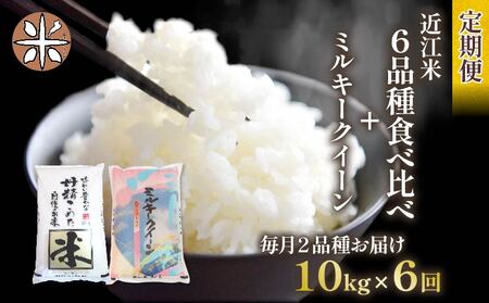 令和6年産 新米 定期便 10kg 全6回 ミルキークイーン + 6品種 食べ比べ ( こしひかり みずかがみ にじのきらめき あきたこまち キヌヒカリ ほしじるし ) 全7品種 白米 各 5kg × 2袋 3ヶ月 近江米 国産 お米 米 おこめ ごはん ご飯 白飯 しろめし こめ ゴハン 御飯 滋賀県産 竜王 ふるさと ランキング 人気 おすすめ