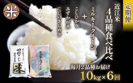 令和6年産 新米 定期便 10kg 全6回 ミルキークイーン + 3品種 食べ比べ ( こしひかり みずかがみ にじのきらめき ) 全4品種 白米 各 5kg × 2袋 6ヶ月 近江米 国産 お米 米 おこめ ごはん ご飯 白飯 しろめし こめ ゴハン 御飯 滋賀県産 竜王 ふるさと ランキング 人気 おすすめ