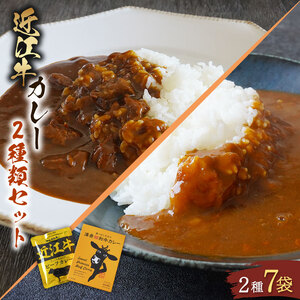 近江牛 カレー 2種 セット 澤井姫和牛 カレー 200g × 2袋 近江牛 160g × 5袋 セット 計 7 ( 黒毛和牛 牛肉 1200g レトルト 肉 ギフト 自宅用 黒毛和牛 国産 ふるさと納税 ブランド牛 三大和牛 和牛 贈り物 内祝い 滋賀県 竜王町 澤井牧場 送料無料 )