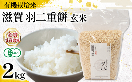 [ オーガニック米 ] 令和7年産 新米 羽二重餅 玄米 2kg ( 玄米 玄米 玄米 玄米 玄米 )