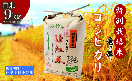 �V��  �����Ђ��� ���� 9kg 2025�N�Y ���̕� ���w�엿�s�g�p ���ʍ͔|�� ���� ���e�� 10kg ���Y ���S ���S �ߍ]�� �� ���� ���� ���ٓ� ���� �Y�n���� ���ꌧ ������ ��������