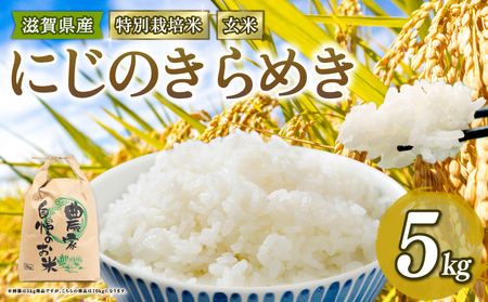 [ 新米予約 ] にじのきらめき 特別栽培米 令和7年産 米 5kg 玄米 米 虹のきらめき 2025年産 国産 農家直送 環境こだわり 小分け お米 こめ おこめ 新米 先行予約 農家直送 産地直送 滋賀県 竜王町