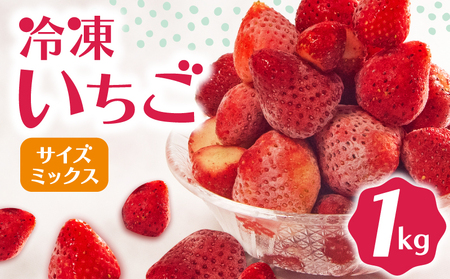 冷凍 いちご 1kg 完熟 ヘタ取り サイズミックス [ いちご 果物 いちご 苺 いちご 冷凍いちご 滋賀県 竜王町 ひさだ苺農園 ]