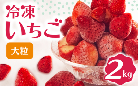 Ⓚ  2kg n w^ 嗱 C`S  Ⓚ ʕ XC[c fU[g t[c ACX W V[xbg x[ X Â IXX lC ꌧ  Ђ䕔_