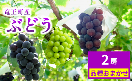 ぶどう 2房 期間限定 品種 おまかせ ぶどう ぶどう ぶどう ぶどう ぶどう