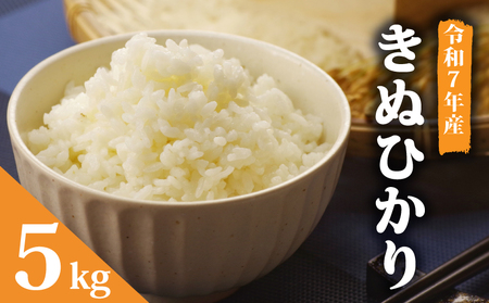 [ 先行予約 ][ 令和7年産 ] 米 キヌヒカリ 5kg お米 きぬひかり 米 米 米 米