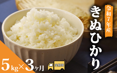 [ 先行予約 ][ 令和7年産 ] 米 キヌヒカリ 5kg 定期便 3ヶ月 お米 きぬひかり 米 米 米 米
