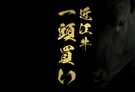 [和牛セレブ] 近江牛 1頭分買い (一括配送) 黒毛和牛 牛肉 カタ モモ ロース ランプ イチボ 希少部位 肉 ギフト