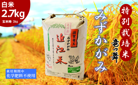 �V�� �݂������� ���� 2.7kg 2025�N�Y ���̕� ���w�엿�s�g�p ���ʍ͔|�� ���� �� �e�� 3kg ���Y ���S ���S �ߍ]�� �� ���� ���� ���ٓ� ���� �Y�n���� ���ꌧ ������ ��������