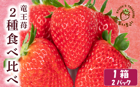 竜王町産 いちご 食べ比べセット 2パック