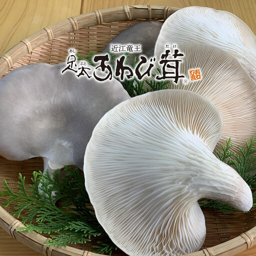 足太あわび茸(生)150g × 2袋 計300g きのこ キノコ