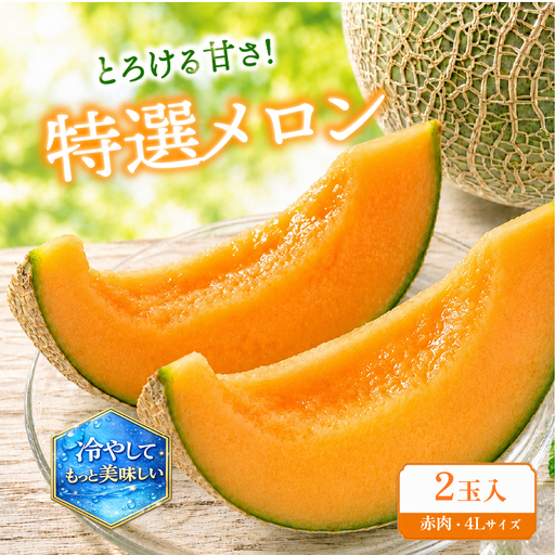 特選 メロン 赤肉 4L 2玉 メロン メロン メロン メロン