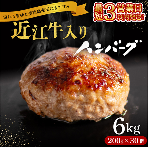ハンバーグ 6kg 近江牛入り [スピード配送] RM