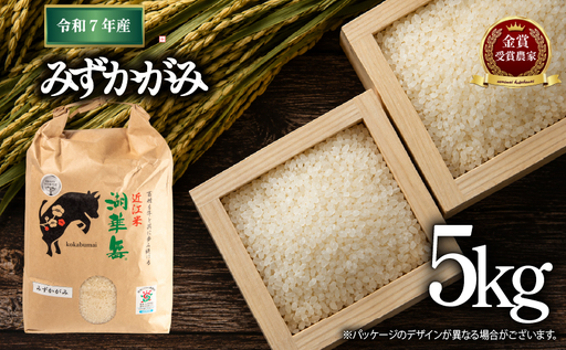 米 令和7年産 みずかがみ 5kg 白米 [KK010] 近江米 精米 お米